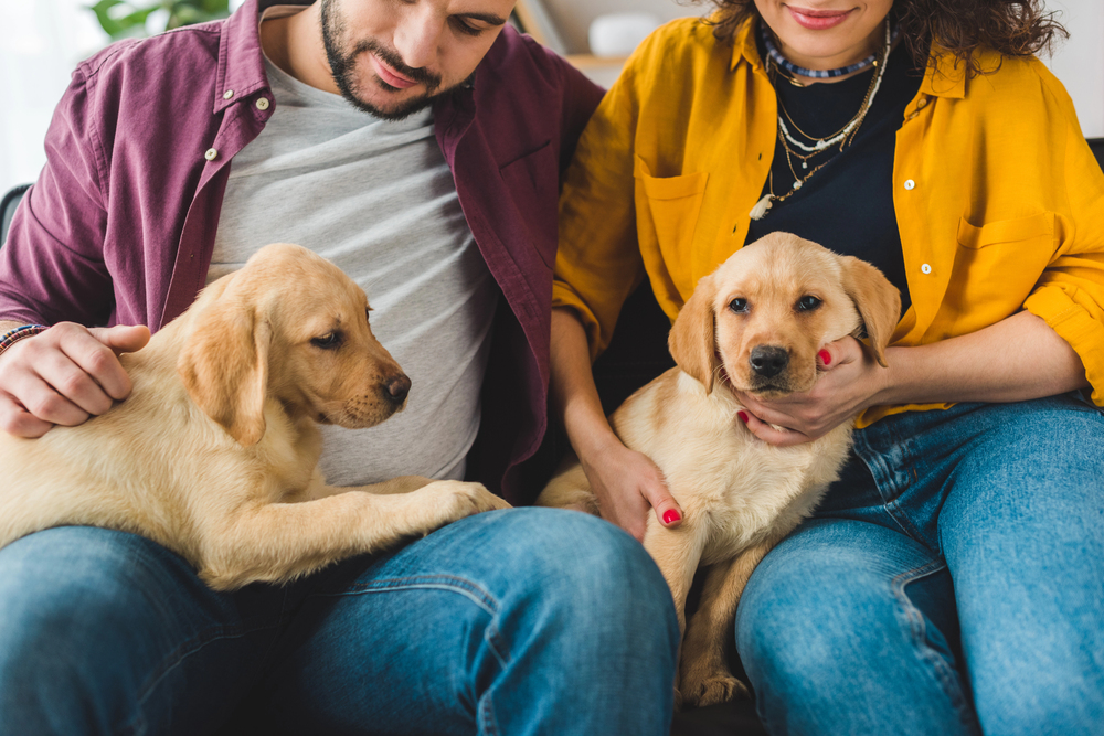 man and woman holding their pets that helped them in addiction recovery