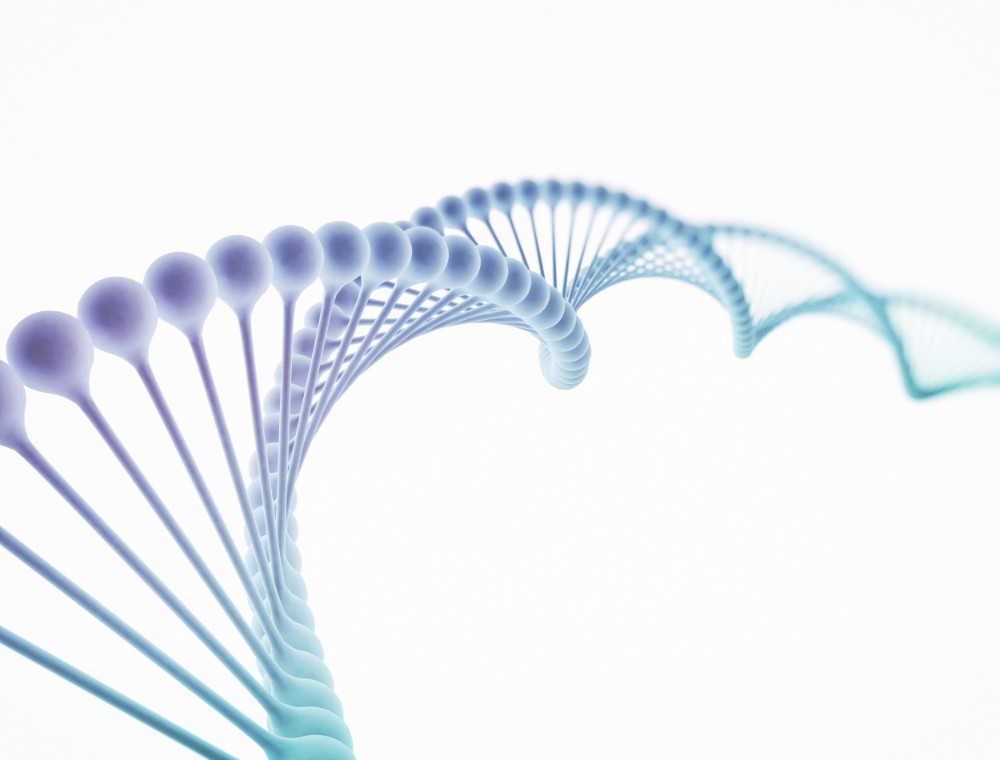 DNA Genetics